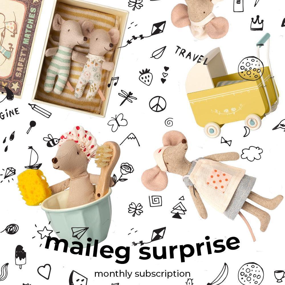 12 Months: Maileg Surprise Subscription Box - Why and Whale