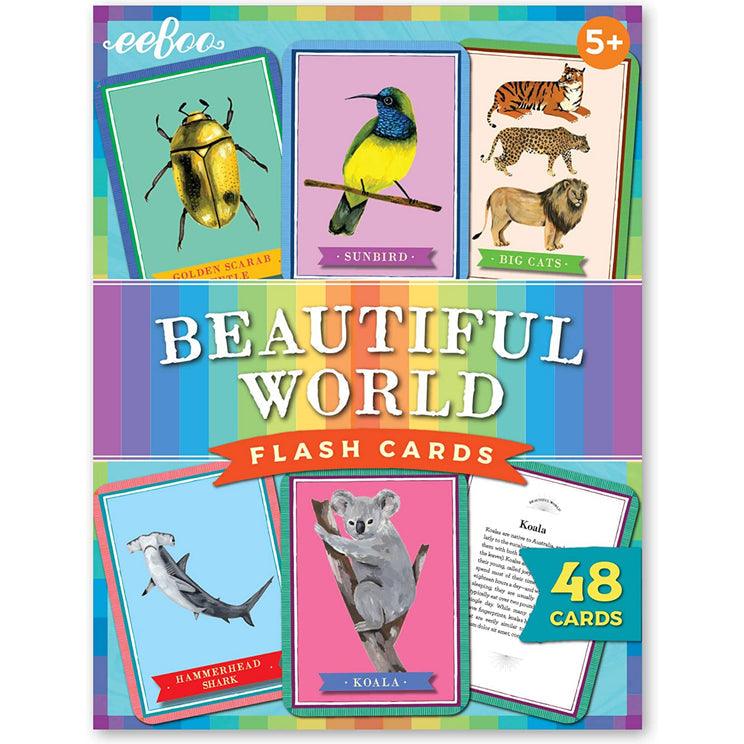 Beautiful World Flash Cards - Why and Whale