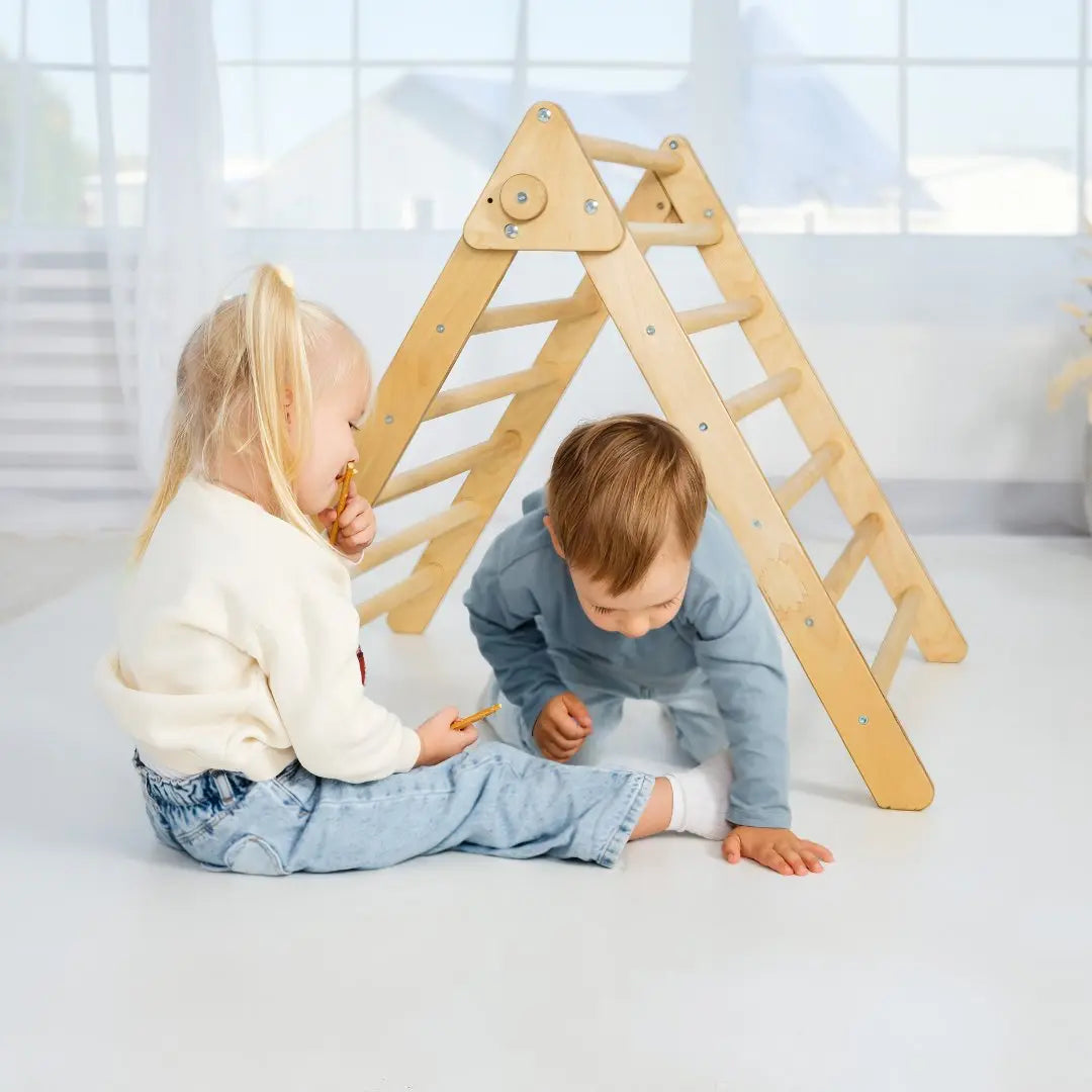 Indoor Montessori Triangle Climbing Ladder for Toddlers 1-7 y.o.
