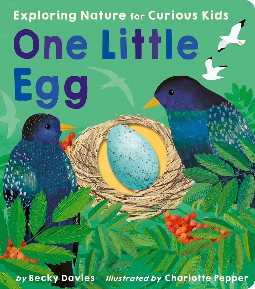 One Little Egg: A Lift-the-flap book - Why and Whale