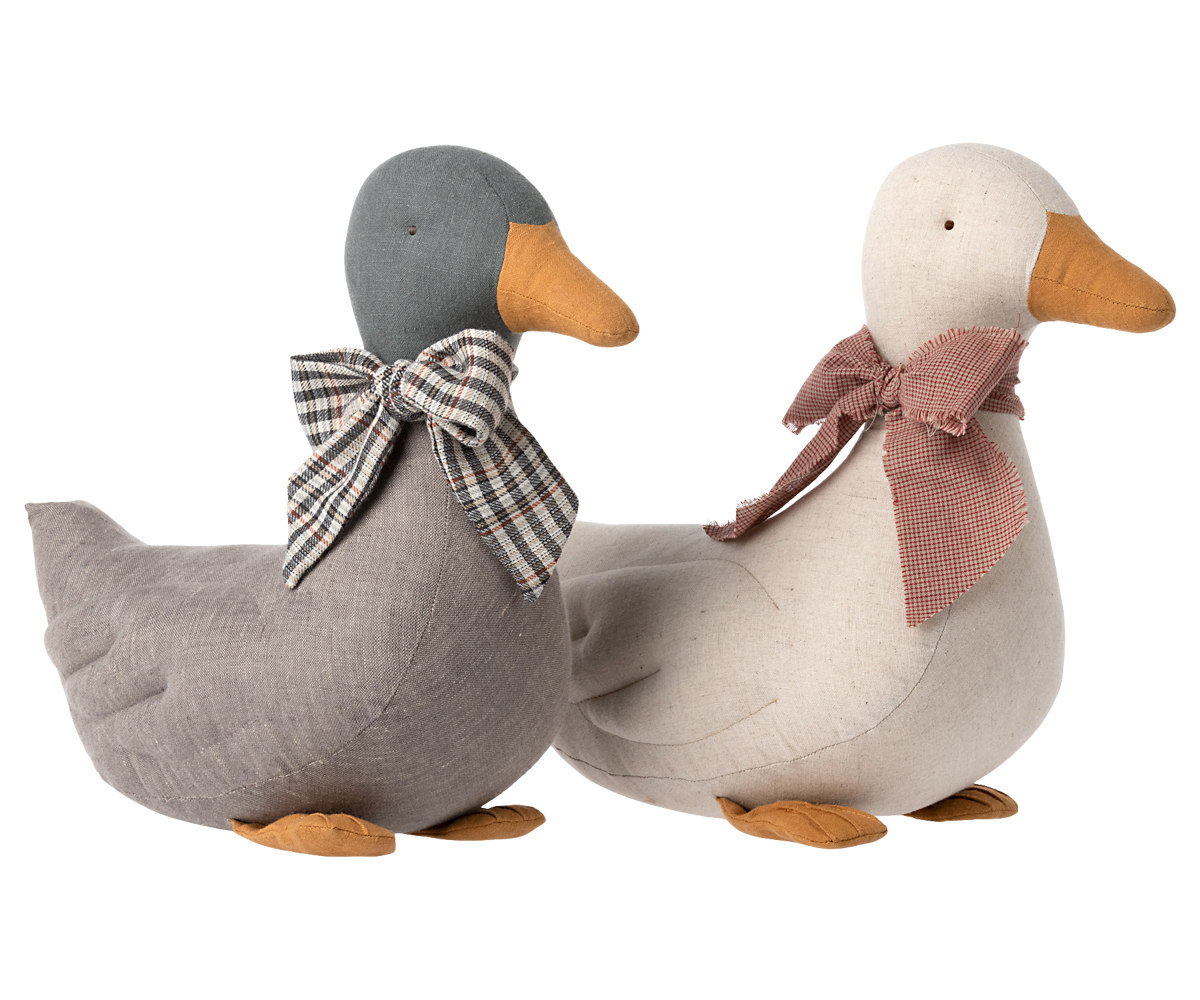 Duck - Grey