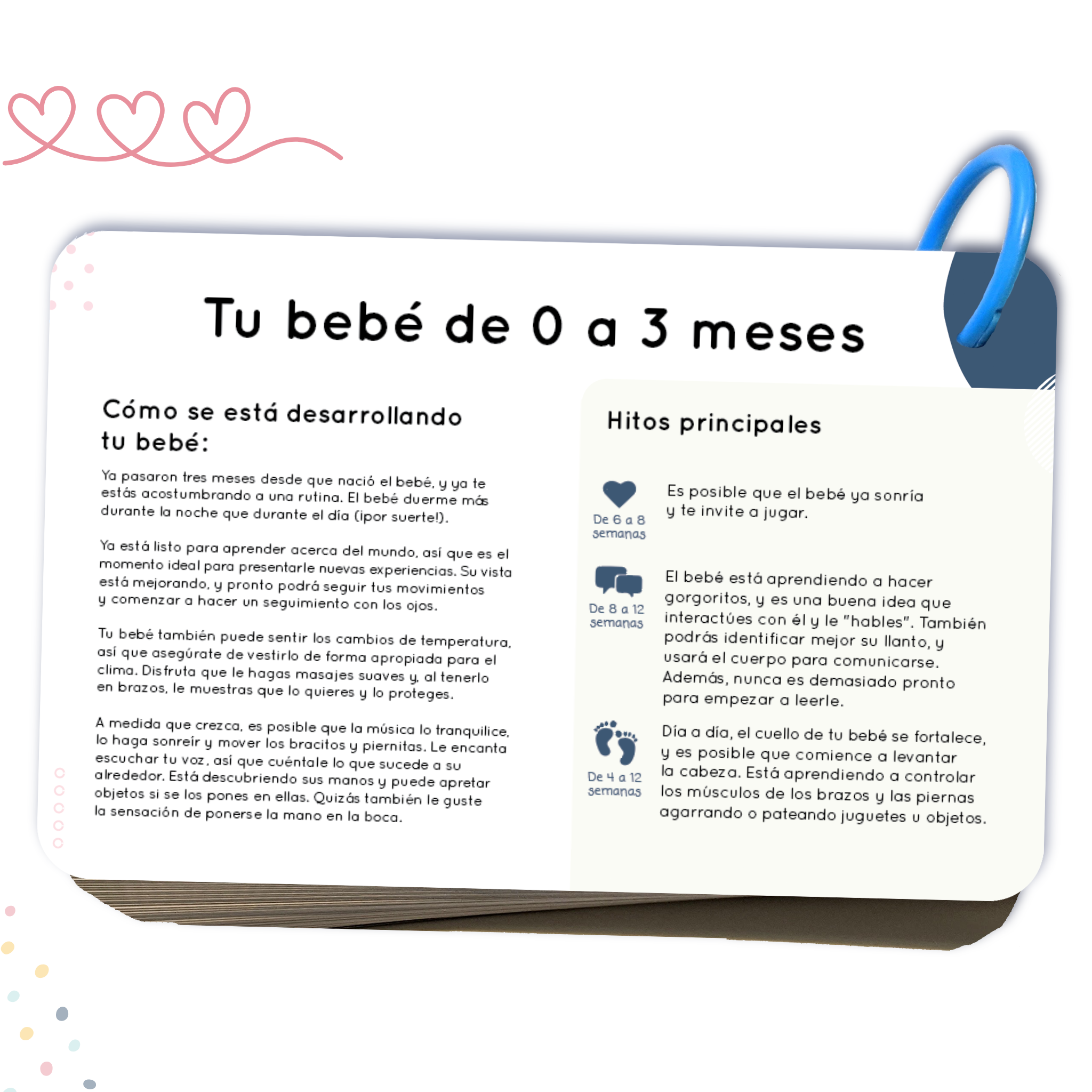 Spanish Curious Baby Activity Cards - Tarjetas de Actividades de Curious Baby (en Español)