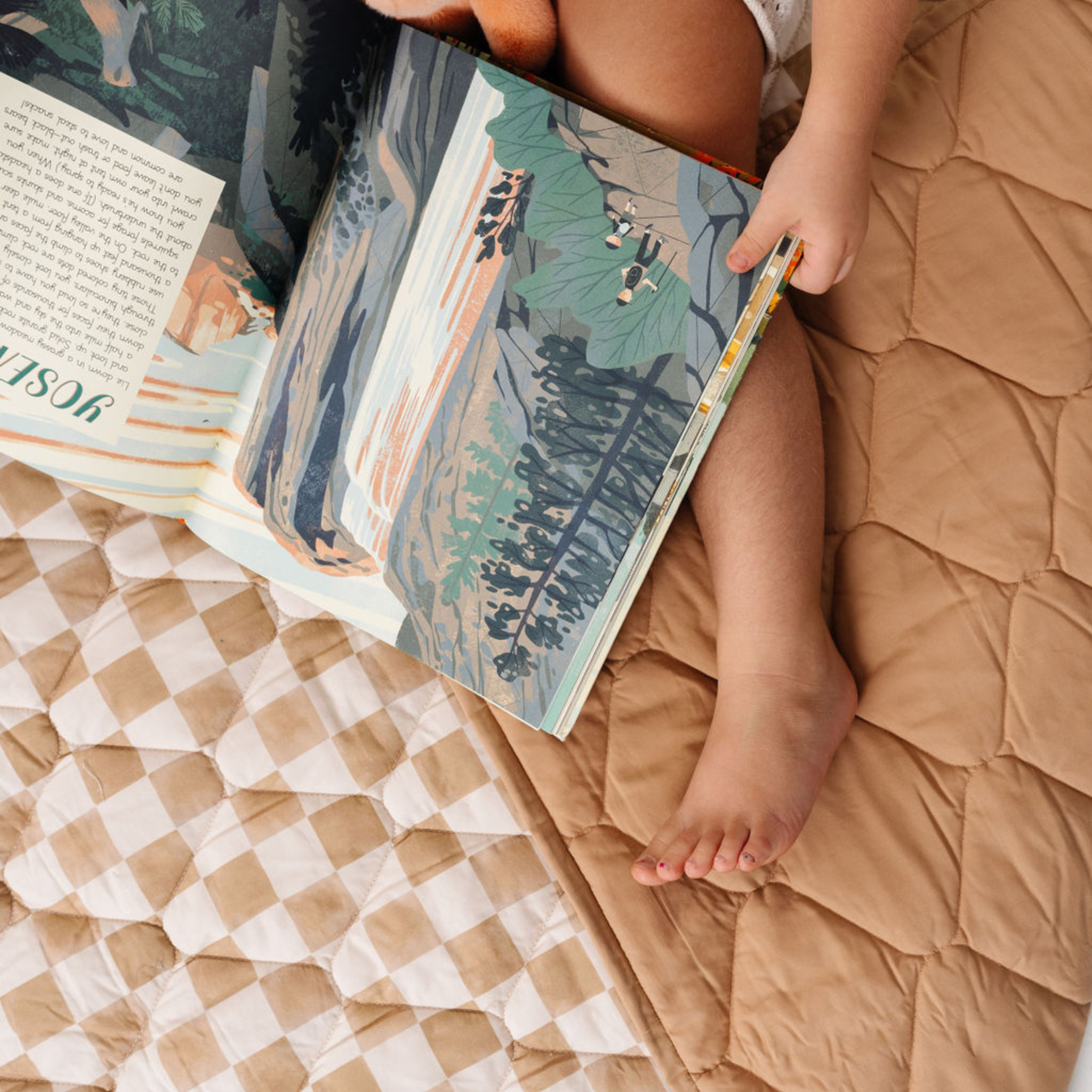 Checker Toffee Picnic Blanket