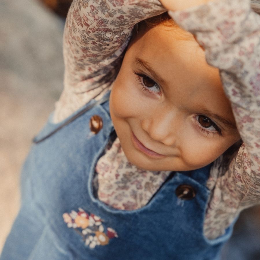 The Denim Dress - Blue