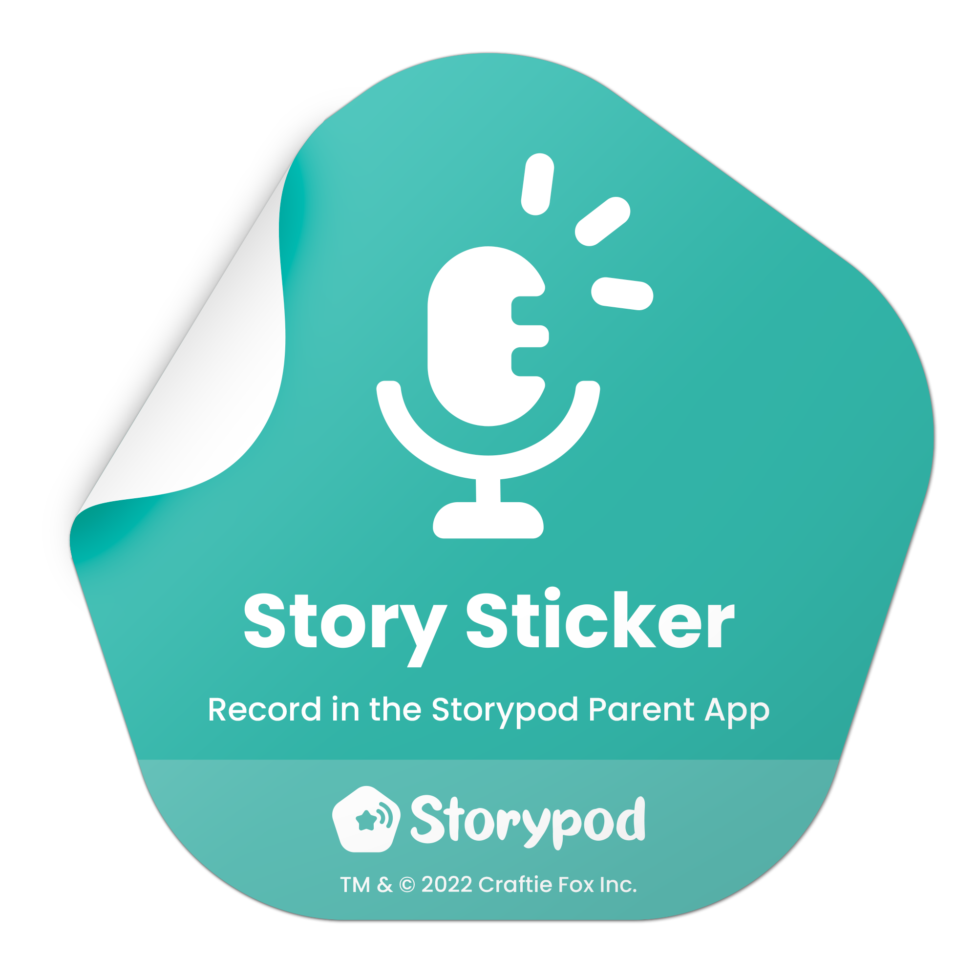 Recordable Story Stickers