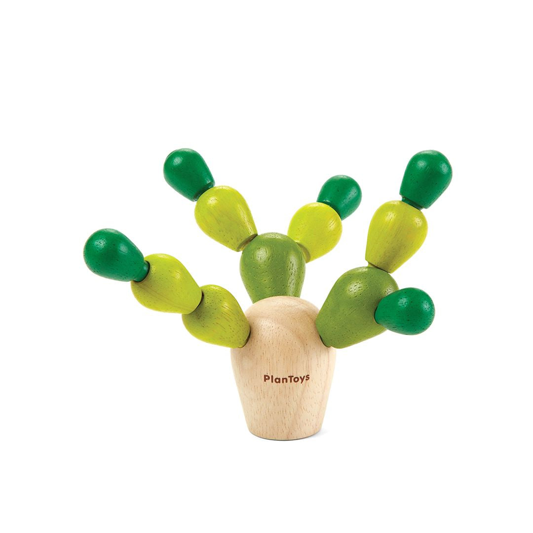 Balancing Cactus - PlanMini