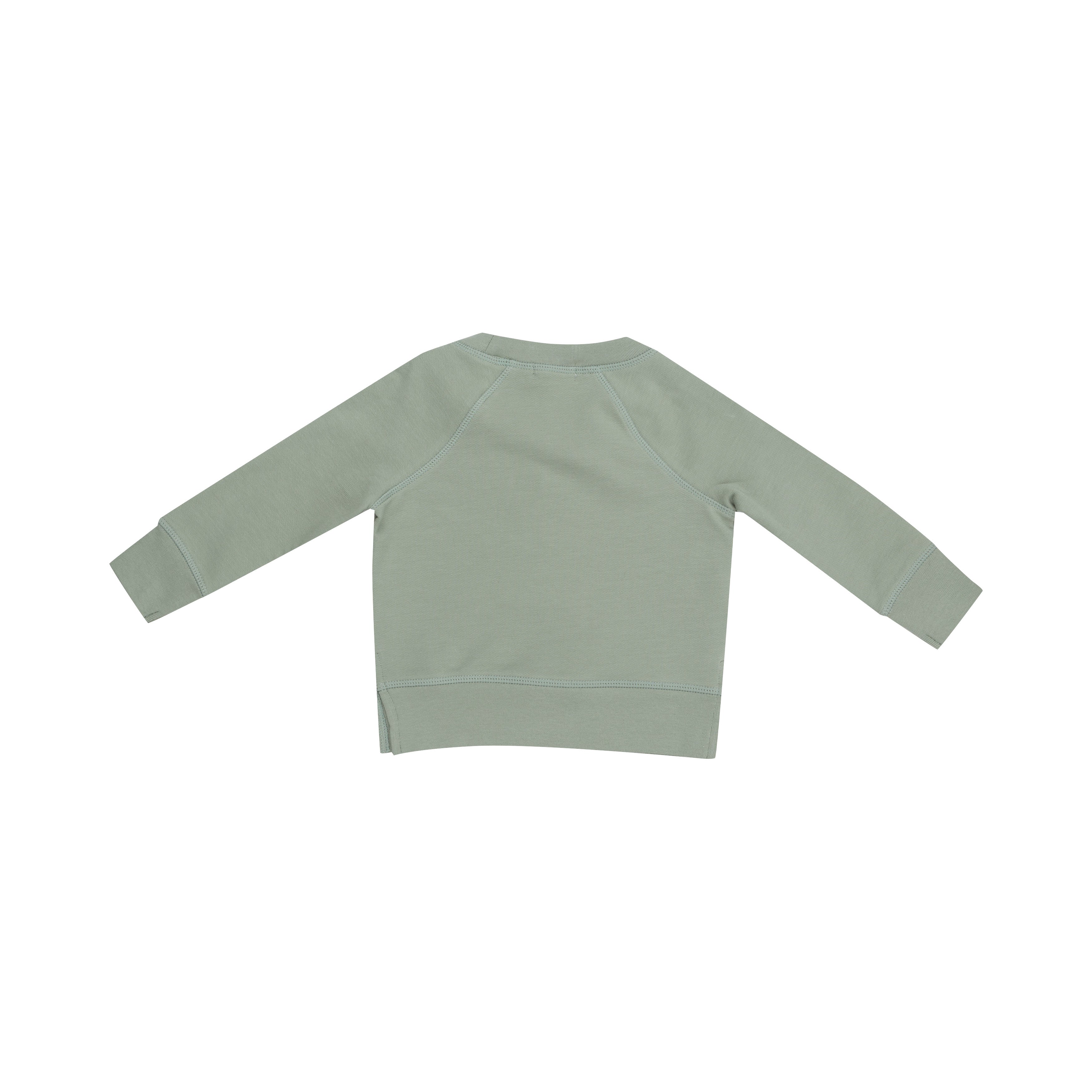 Raglan Sweatshirt And Jogger Set - Desert Sage Solid