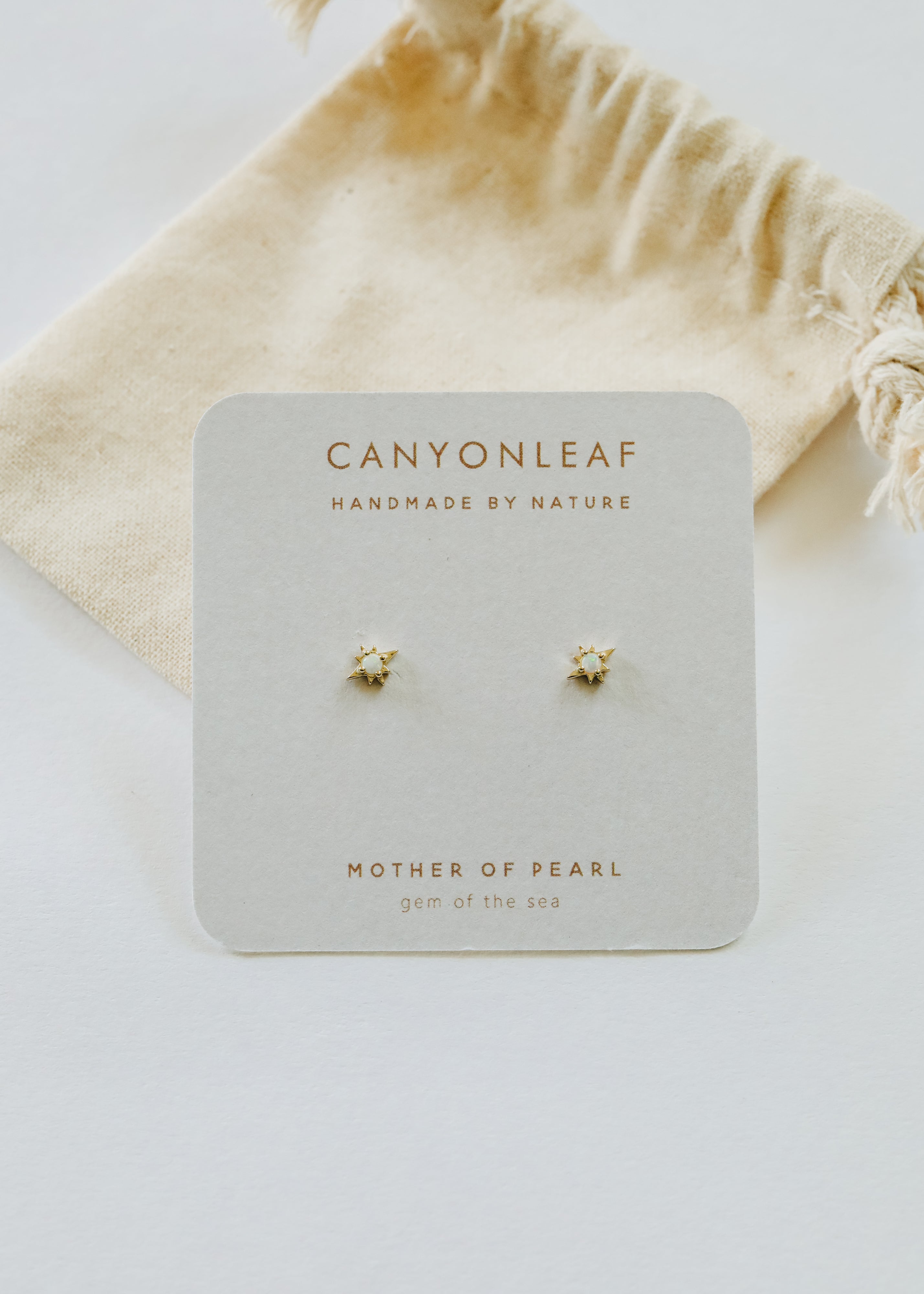 18K Gold Vermeil + Mother of Pearl Gemstone || Everyday Earrings