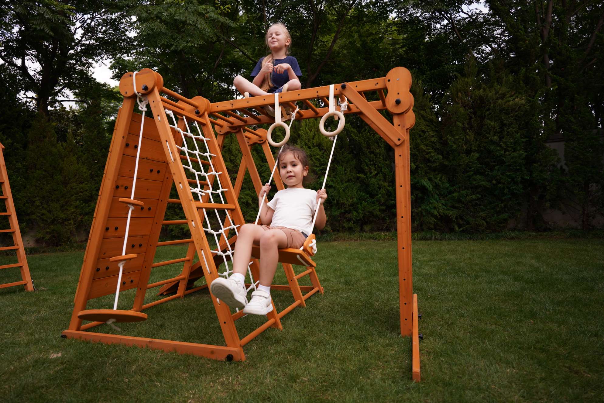 Chestnut - Outdoor and Indoor 8-in-1 Jungle Gym for Toddlers Playset