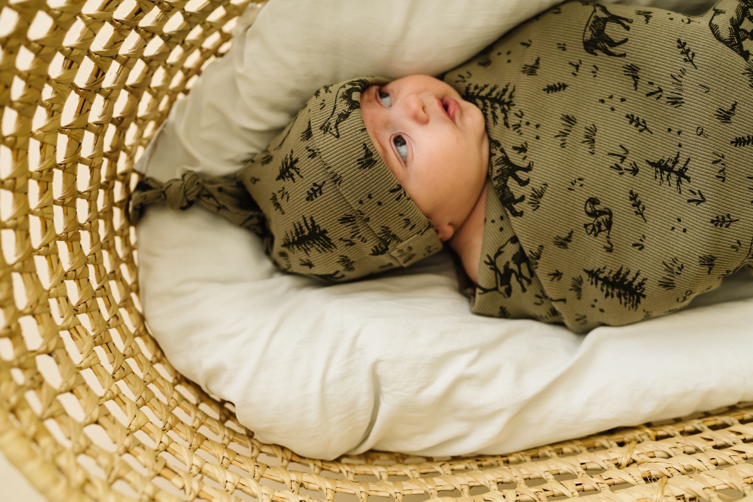 Organic Swaddle Blanket & Hat - Forest Folk