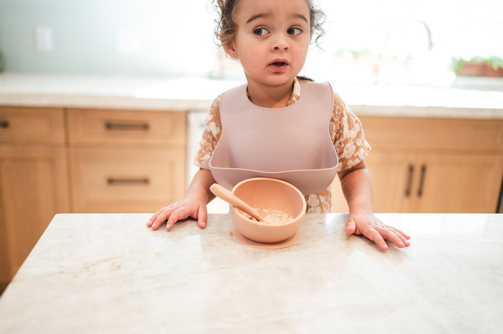 Dusty Rose Silicone Baby Bib