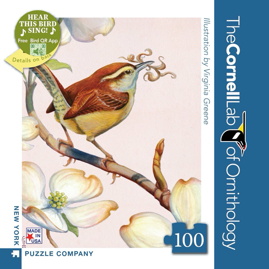 Carolina Wren Mini