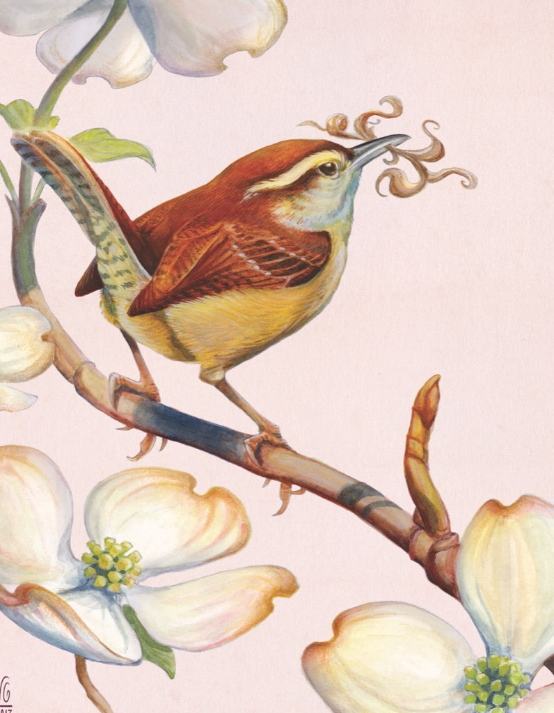 Carolina Wren Mini