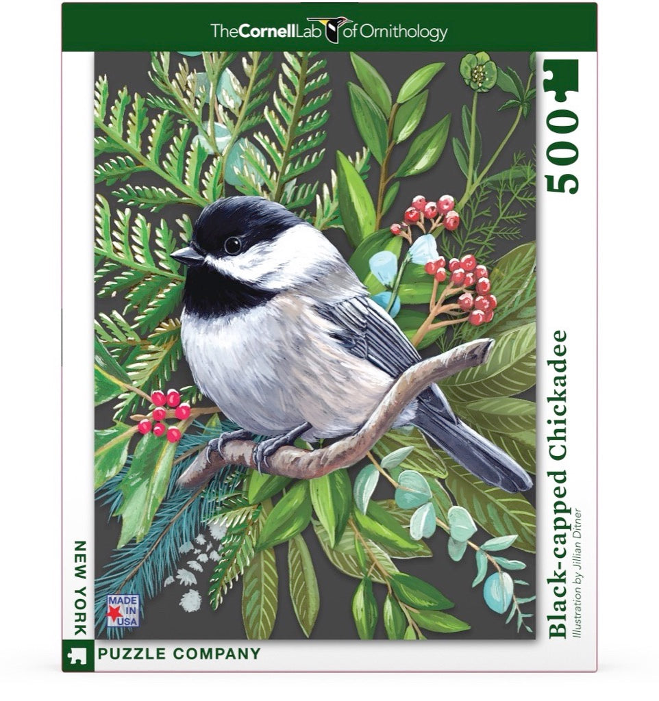 Black-capped Chickadee