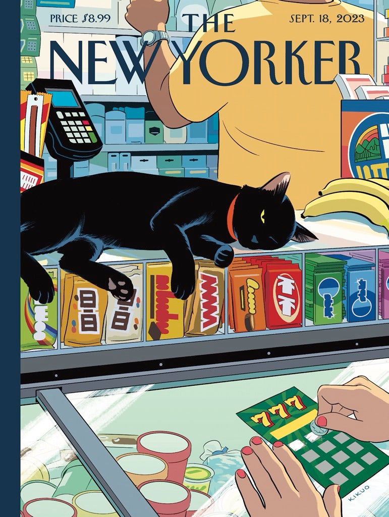 Bodega Cat