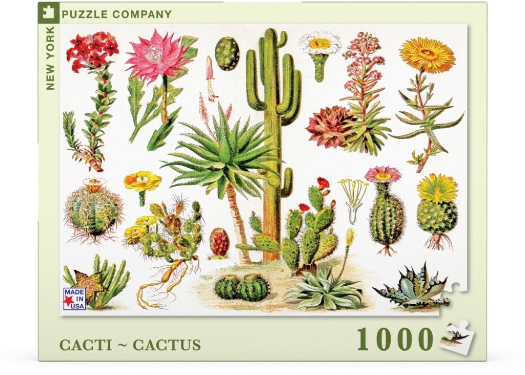 Cacti ~ Cactus