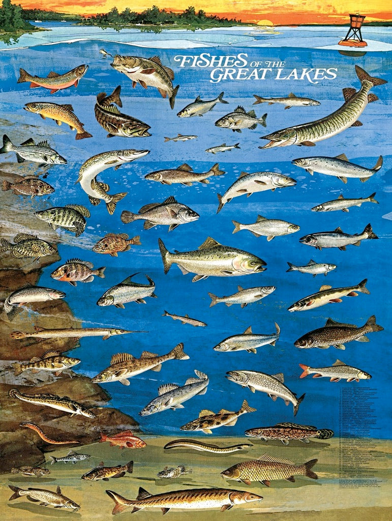 Fishes of the Great Lakes