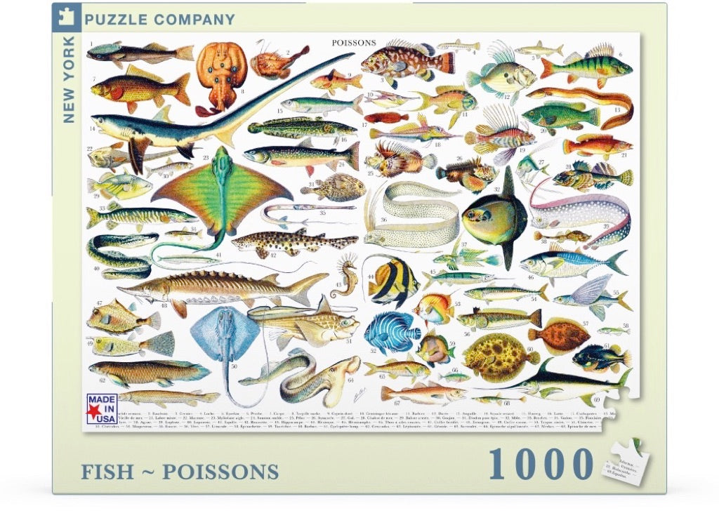 Fish ~ Poissons