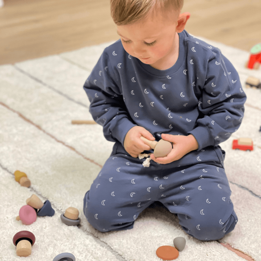 Wood + Silicone Mushroom Sorting Set