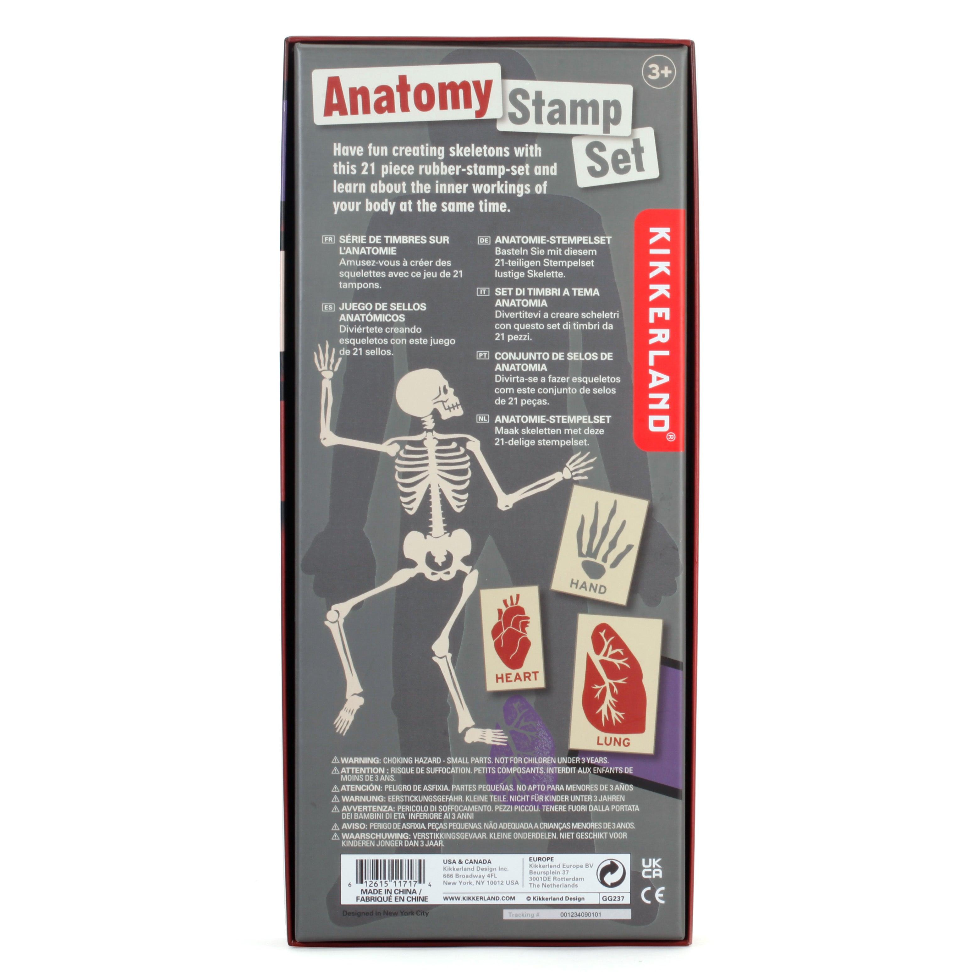 Anatomy Stamp Set - Why and Whale