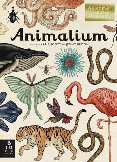 Animalium - Why and Whale
