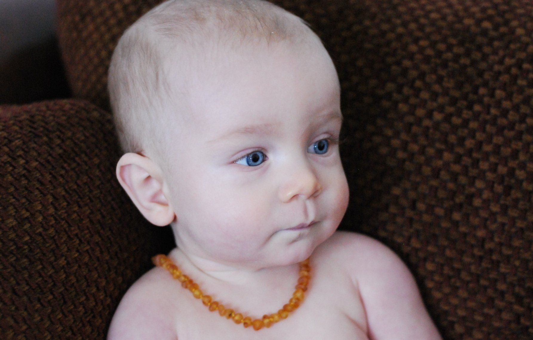 Raw Unpolished Baltic Amber Teething Necklace 12.5" - Golden Honey Colored