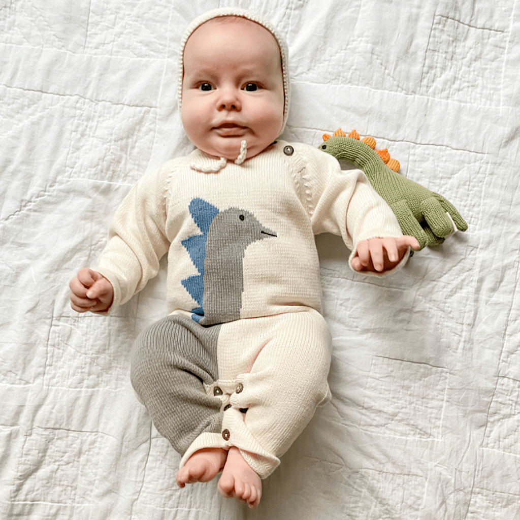 Knit Baby Romper-Dinosaur