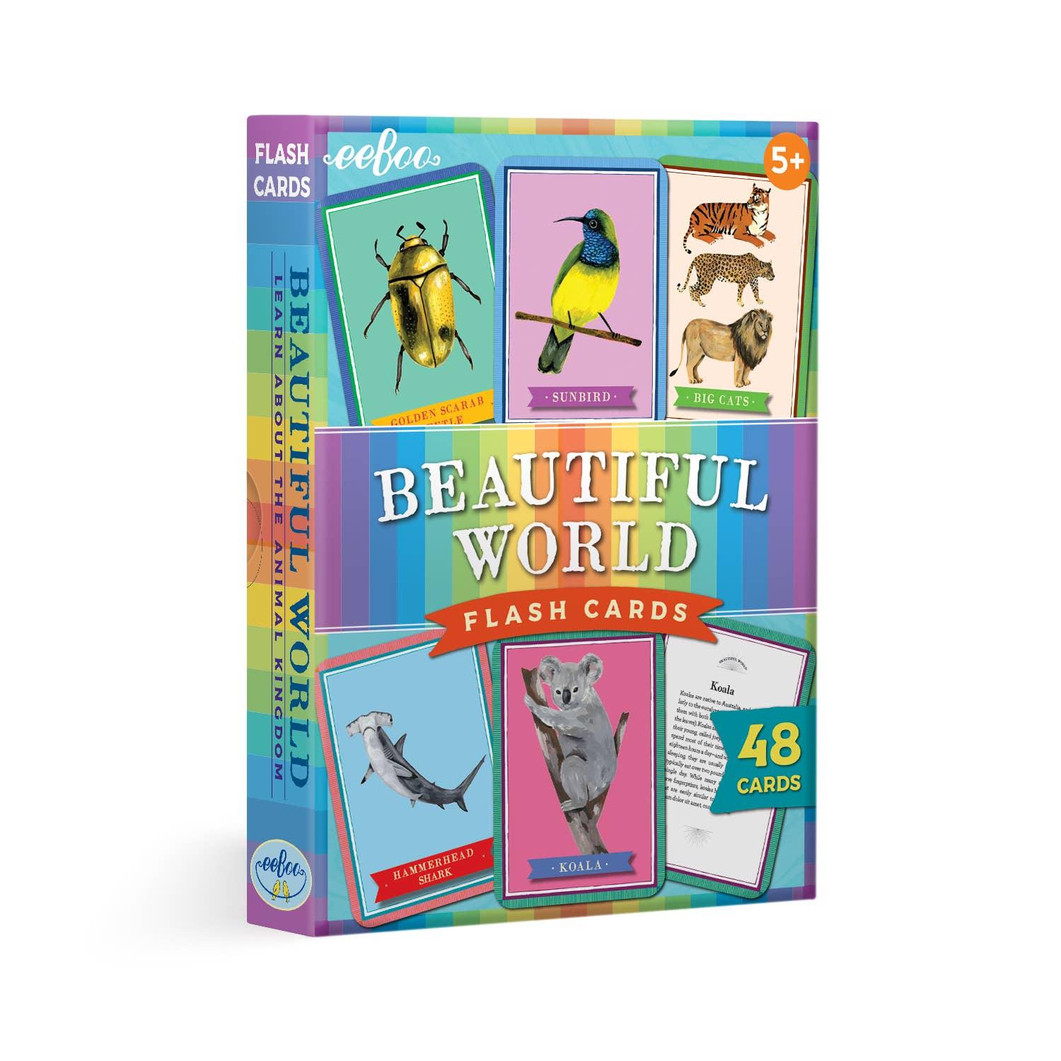 Beautiful World Flash Cards - Why and Whale