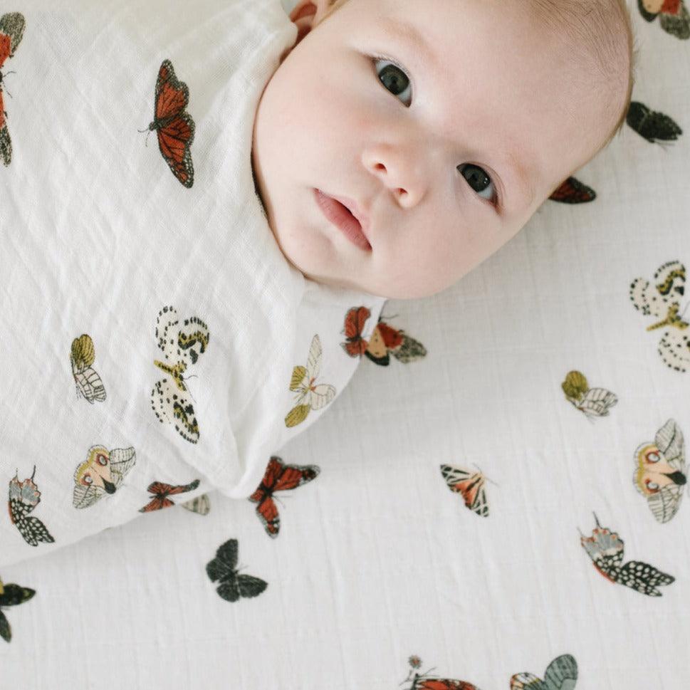 Butterfly Migration Cotton Muslin Crib Sheet - Why and Whale