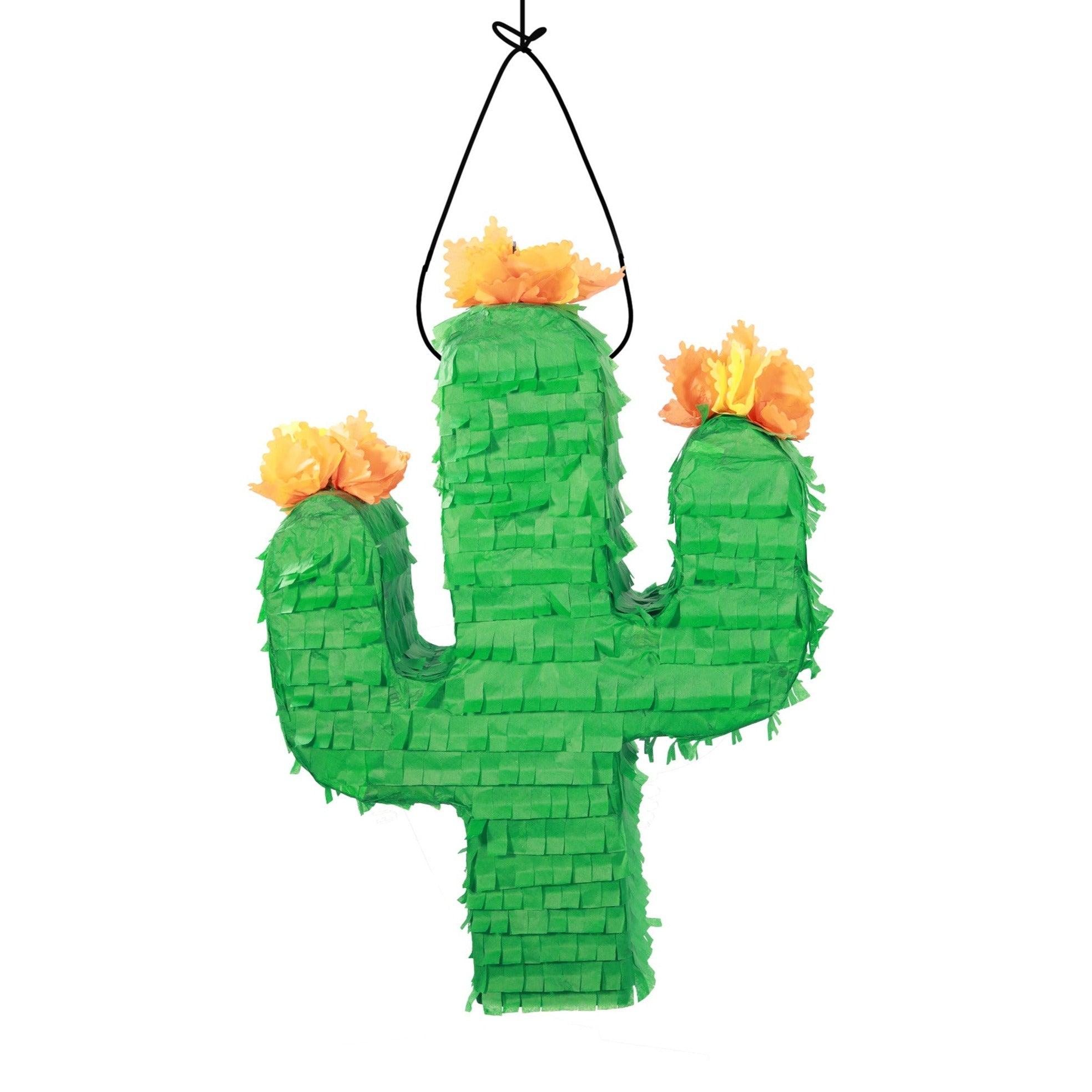 Cactus Pinata