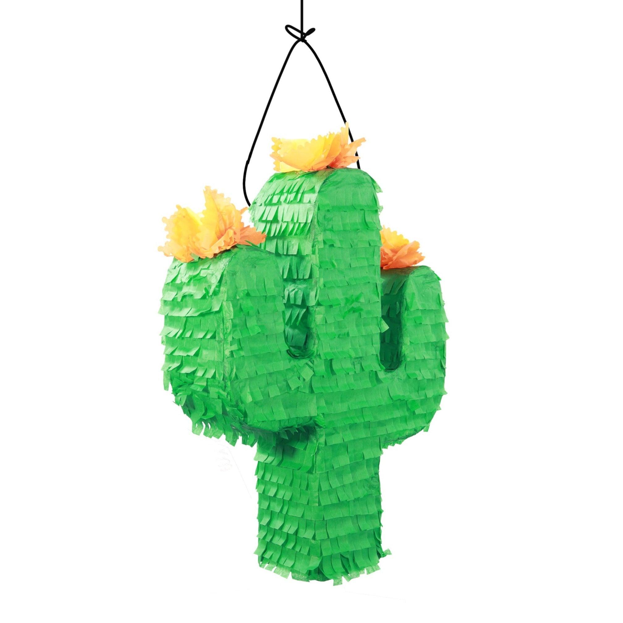 Cactus Pinata