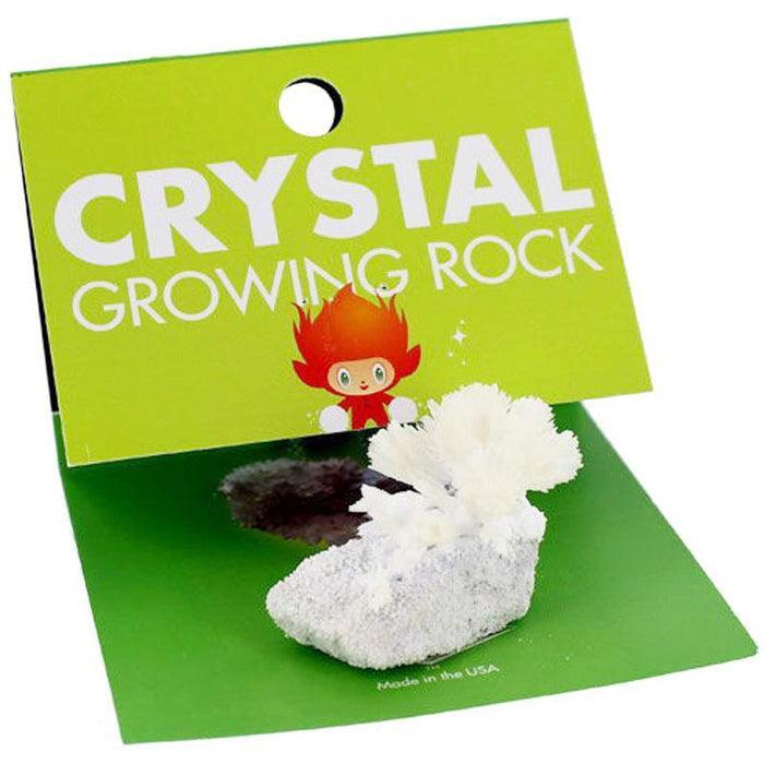 Compact Curiosities - Growing Crystals - Why and Whale