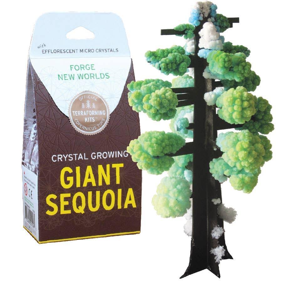 Crystal Growing Giant Sequoia - Why and Whale