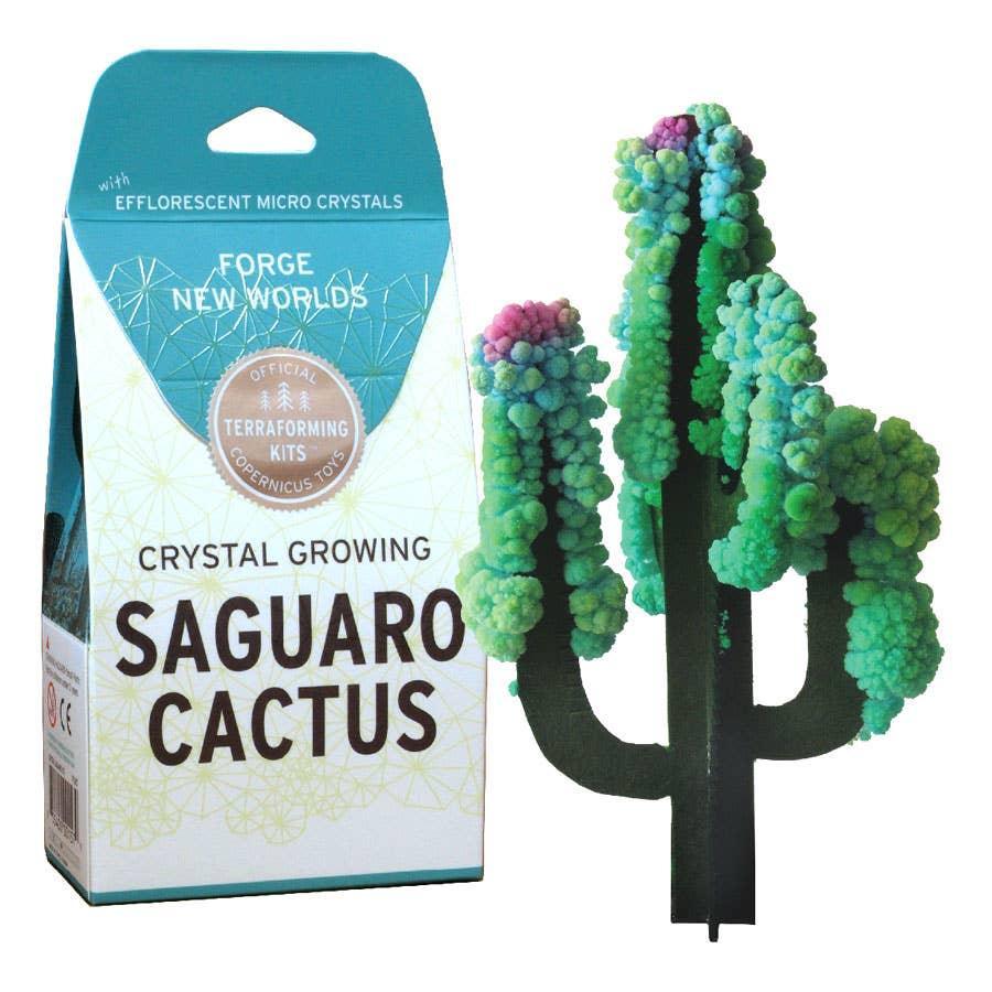 Crystal Growing Saguaro Cactus - Why and Whale