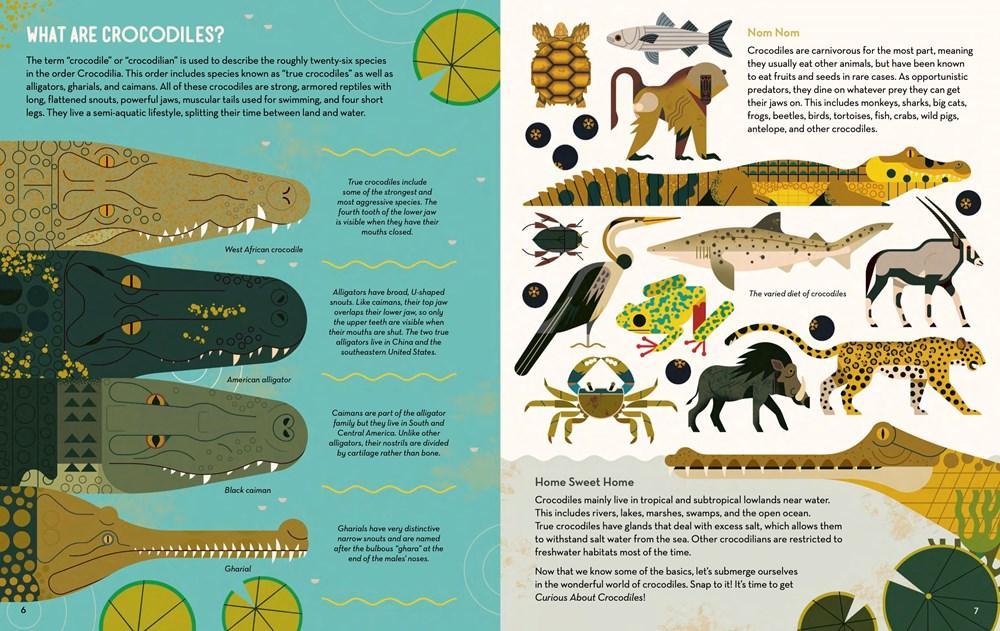 Curious About Crocodiles - Why and Whale