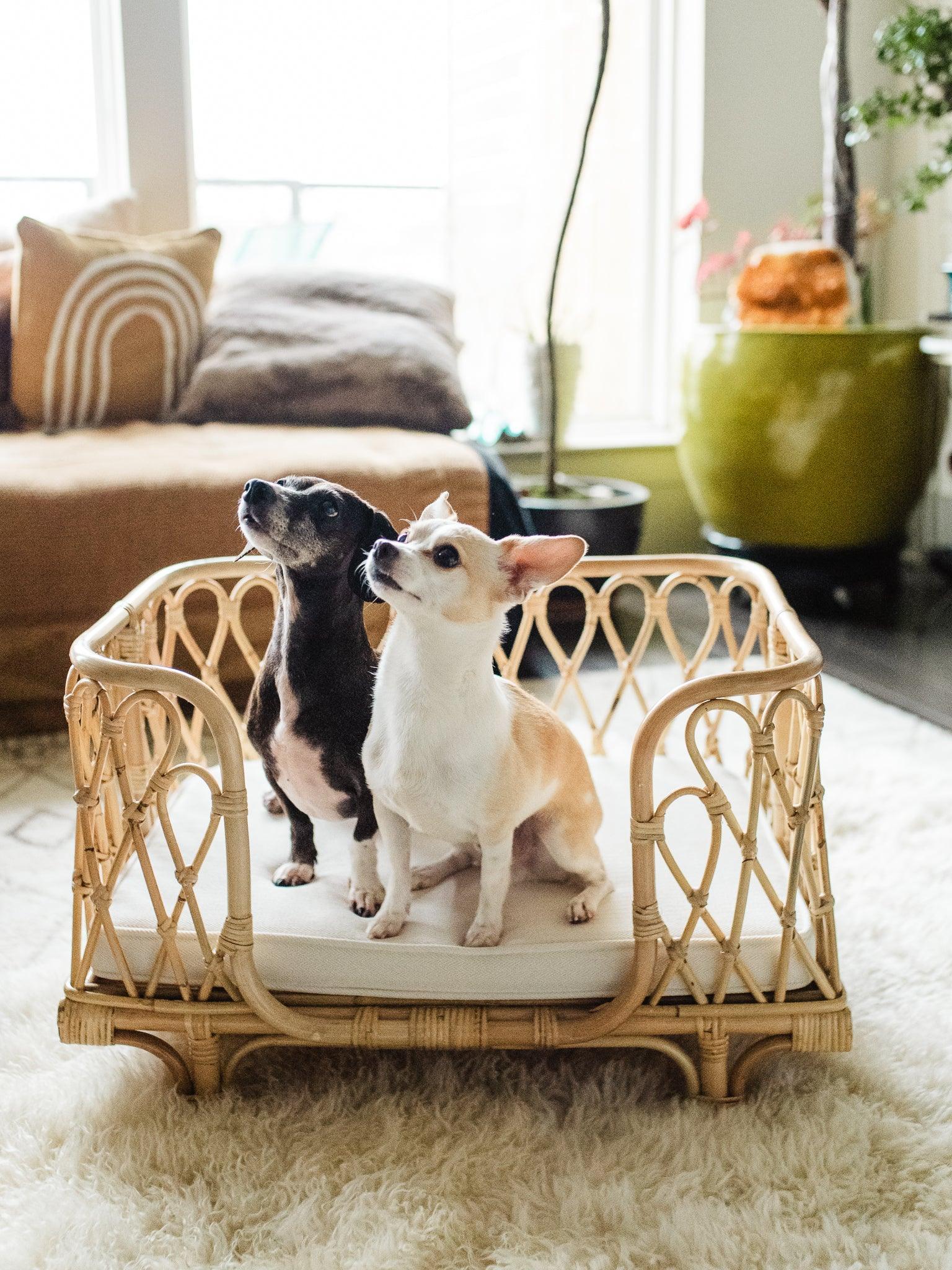 Everett Rattan Pet Bed - Why and Whale