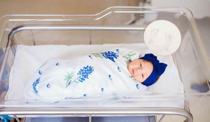 Gift Set: Bluebonnets Baby Muslin Swaddle Blanket and Burp Cloth/Bib Combo