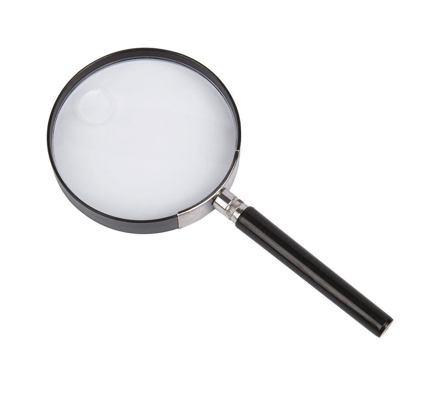 Magnifying Glass, Le Jardin - Why and Whale