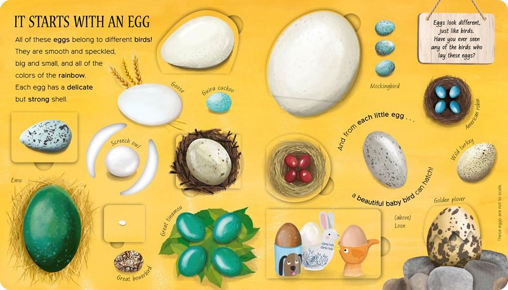 One Little Egg: A Lift-the-flap book - Why and Whale