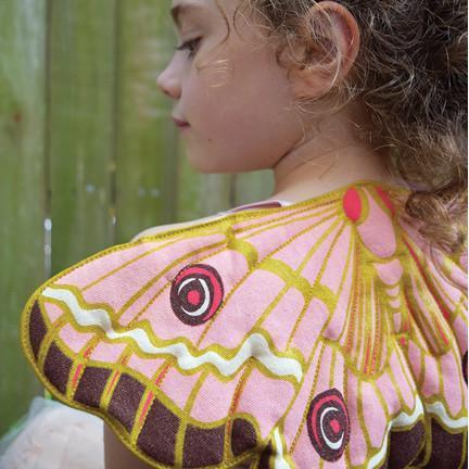 Pink Shimmery Butterfly Wings - Why and Whale