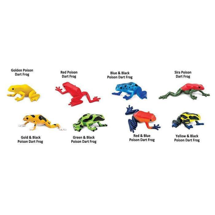 Poison Dart Frogs TOOB® - Why and Whale