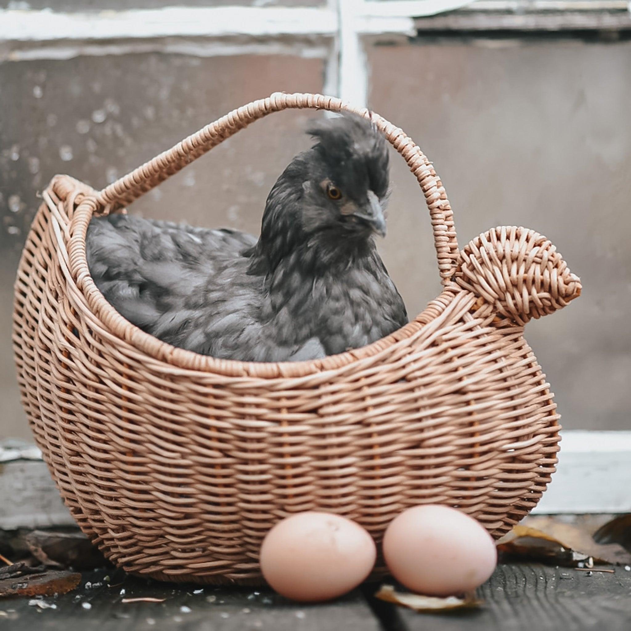Rattan Chicken Basket - Why and Whale