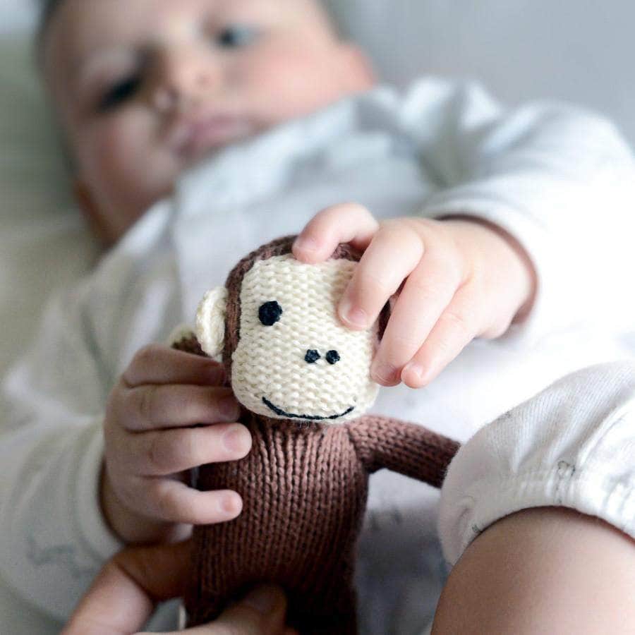 Organic Baby Toys - Newborn Rattles | Monkey