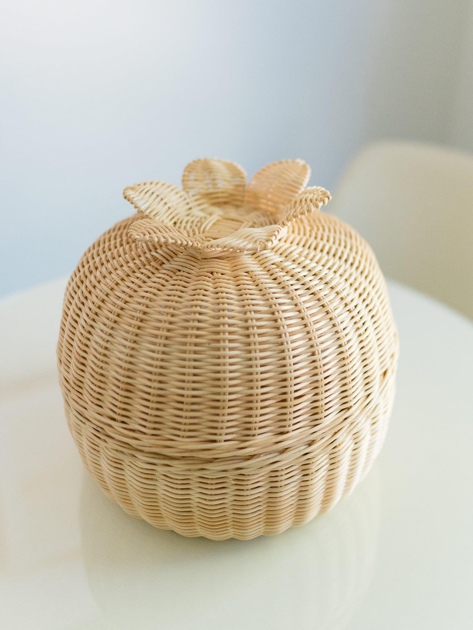 Succulent Rattan Storage Basket - Why and Whale