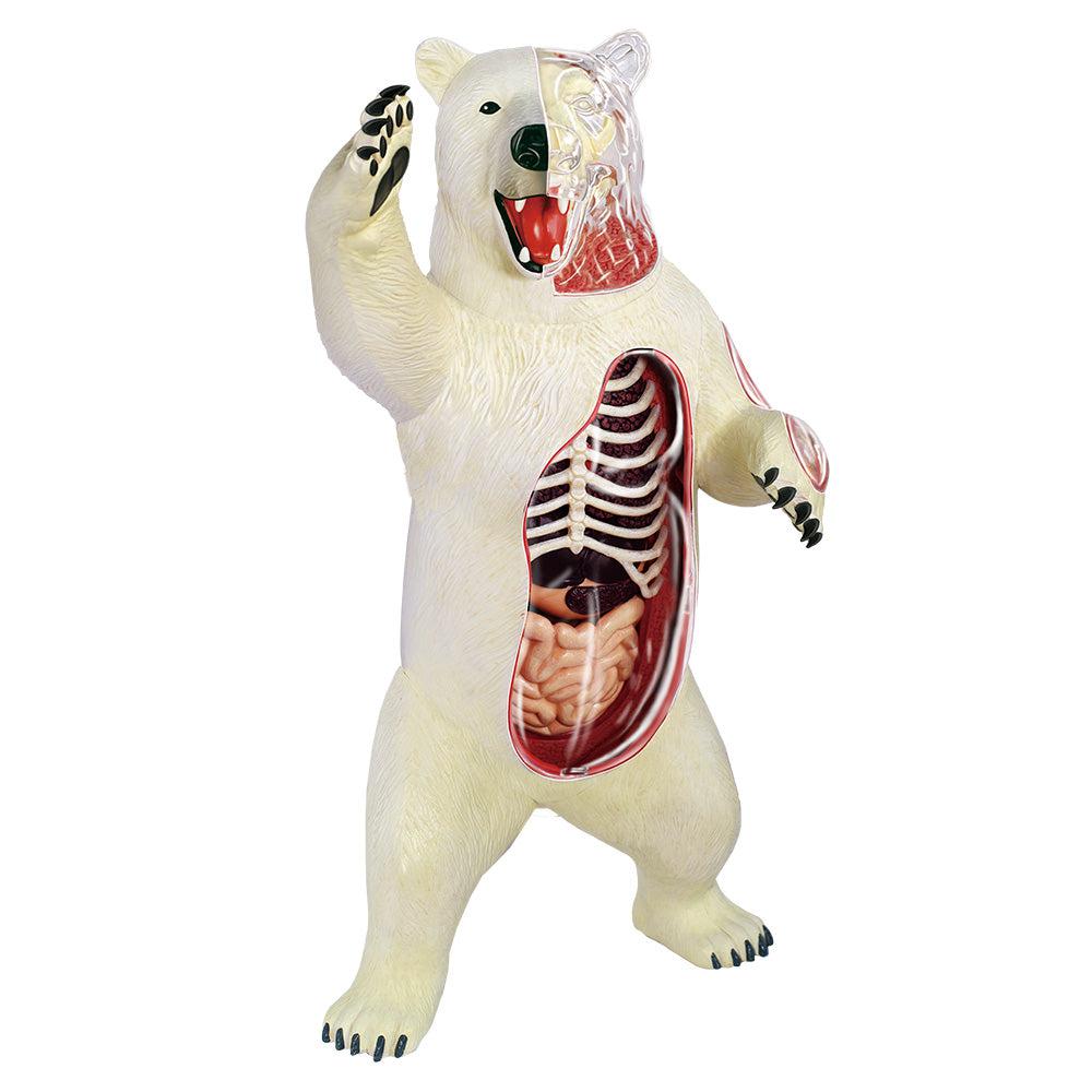 4D Polar Bear Model