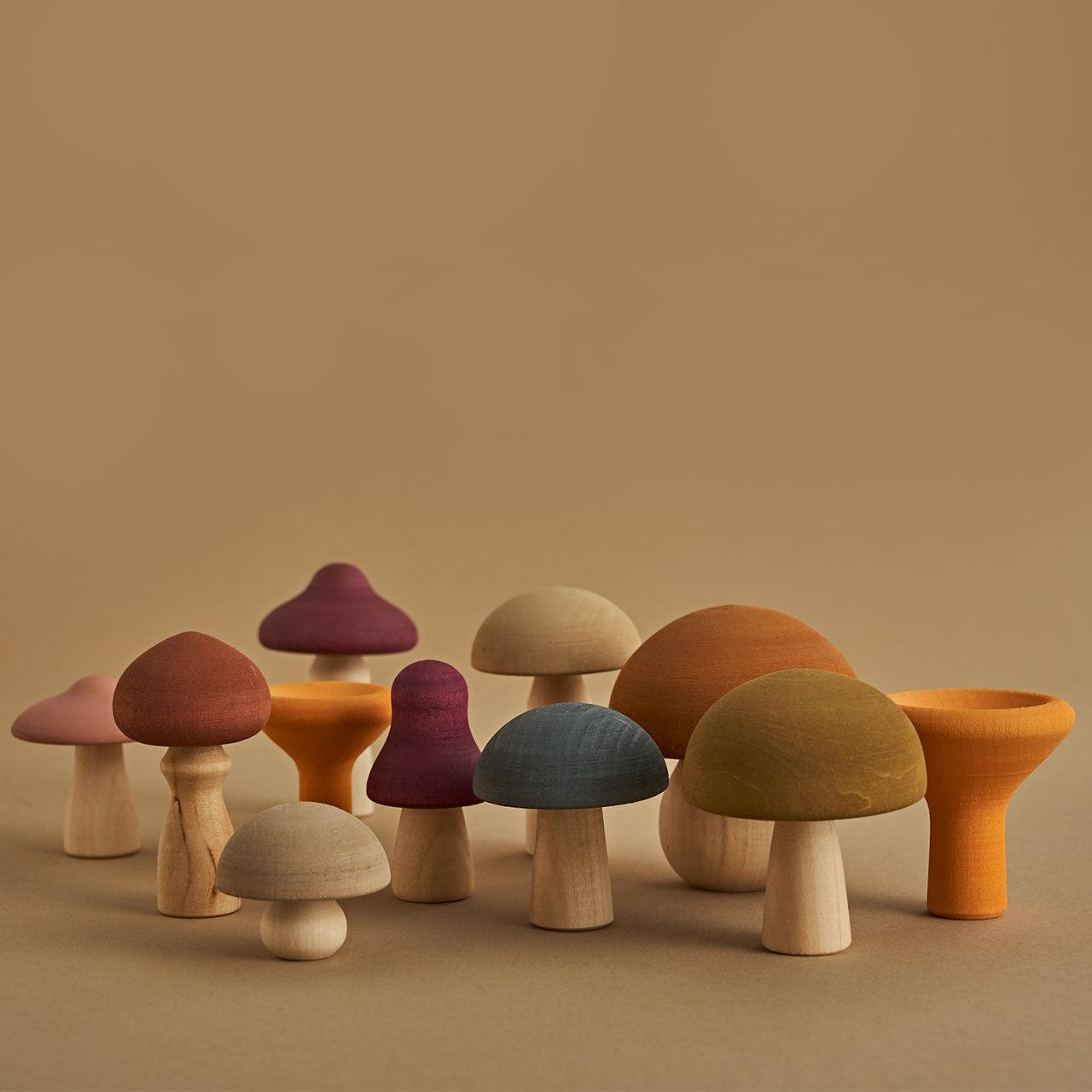 Wooden Mushroom Set - Raduga Grez - Why and Whale