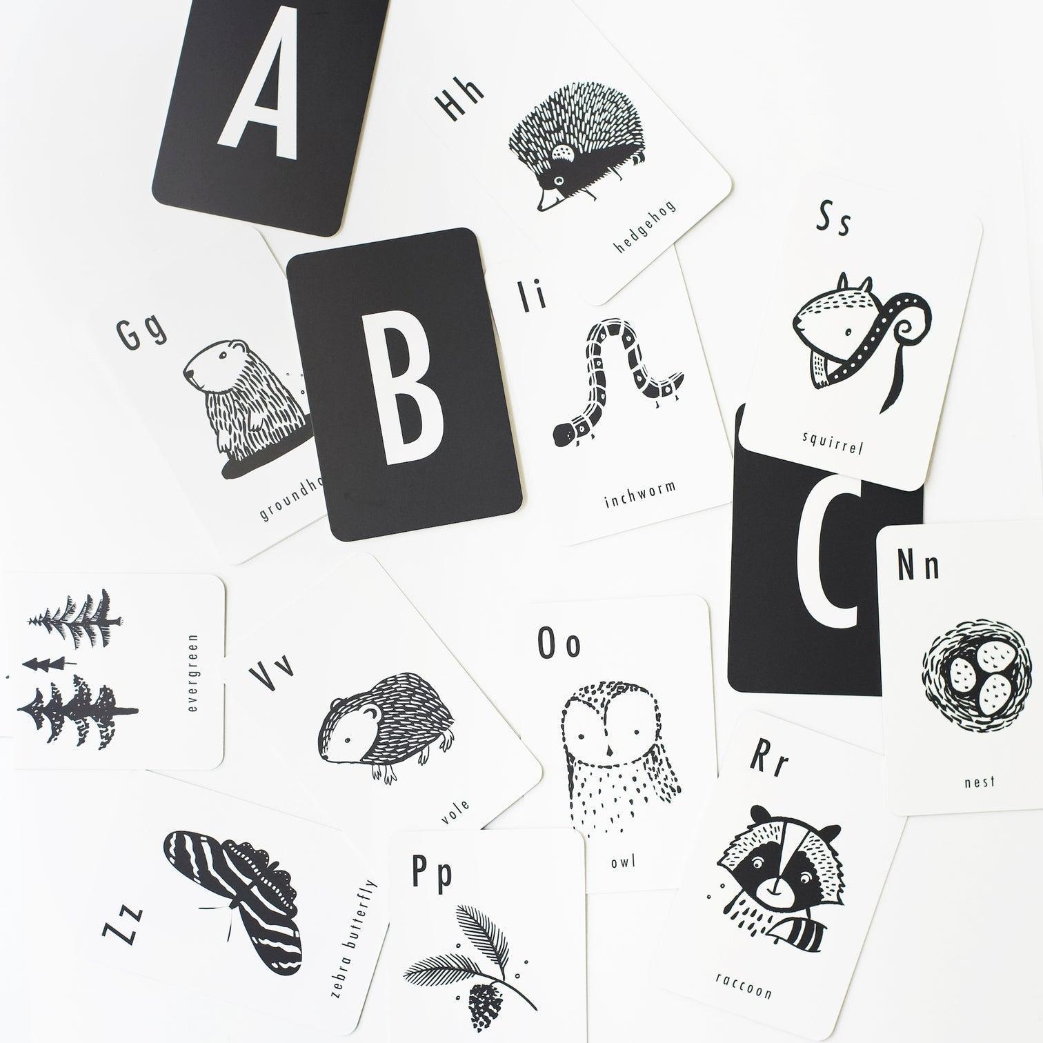 Woodland Alphabet Cards - Why and Whale