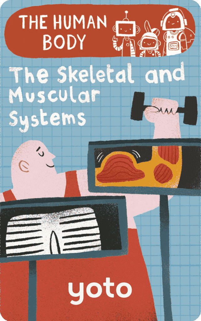 Yoto Card The Human Body: The Skeletal and Muscular Systems - Why and Whale